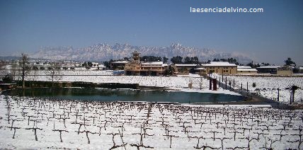 bodegascastelldage1