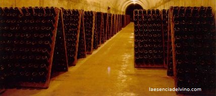 bodegascastelldage3