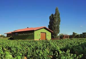 bodegaspascuallarrieta2