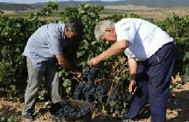 bodegasquintaavenida2