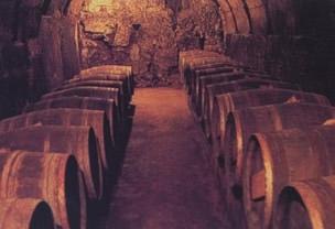 bodegasponcioquintana2