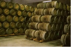bodegasrealjunta2