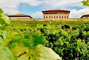 bodegasriojavega1