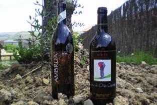 Logo de la bodega Ruíz de Oña Calvete, S.C.