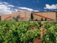 bodegassaenzdesantamaria2