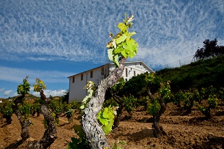 bodegassenoriodearana3