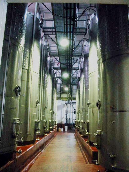 bodegasvaldelacierva2