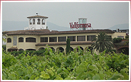 bodegasvallformosa2