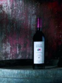 bodegasvinicolaabalos2