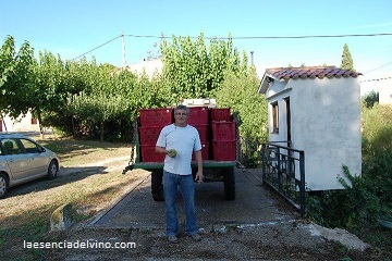 bodegascellerstriada4