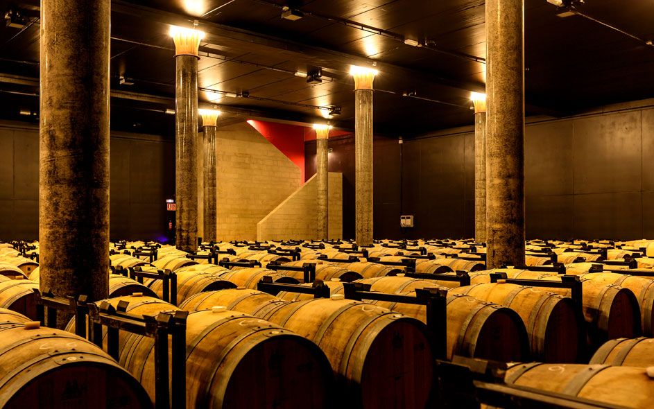 vinyedosdelternerobarricas