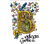 Logo from winery Bodega Mª Jesús de la Hoz Monsalve (Bodega Gótica)