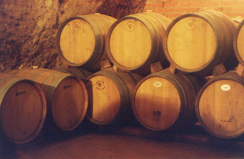 bodegasclavidor4