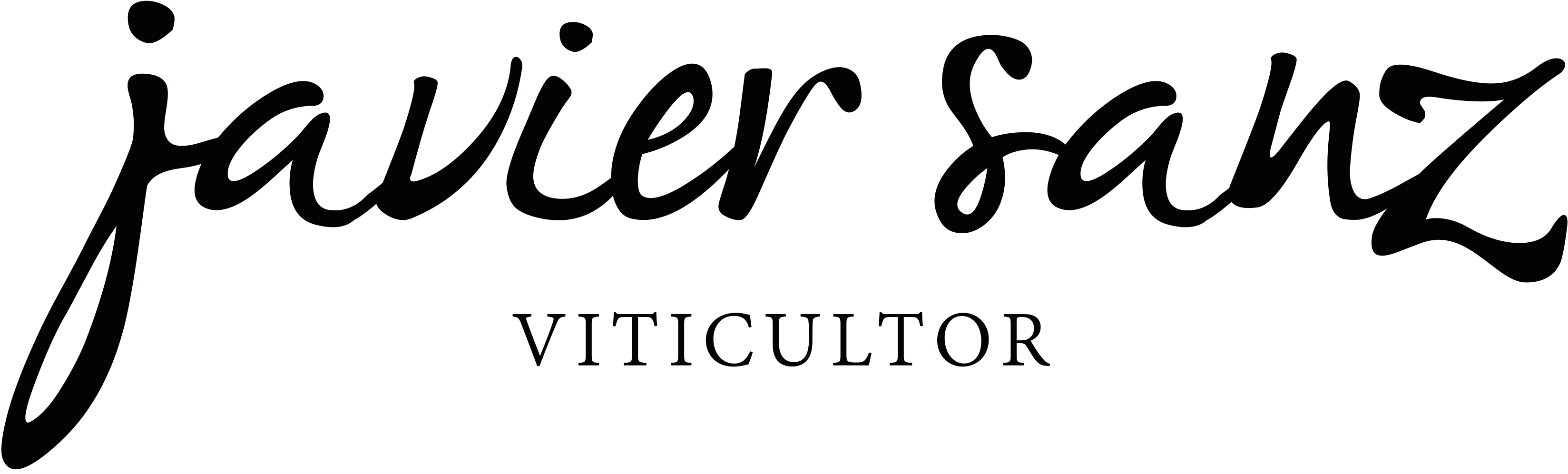 Logo from winery Bodega Javier Sanz Viticultor