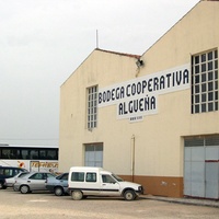 Logo de la bodega Bodega Coop. de Algueña