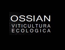 Logo from winery Bodega Ossian Vides y Vinos