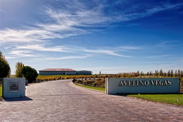 avelino_bodegas_fachada