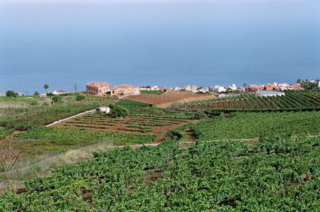 bodegastagoro2