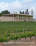 cellermasdelsfrares1