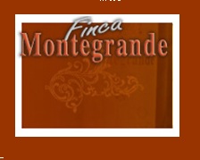 Logo de la bodega Bodegas Arturo Alvarez, S.A.