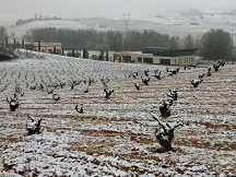 bodegasestanciapiedra3