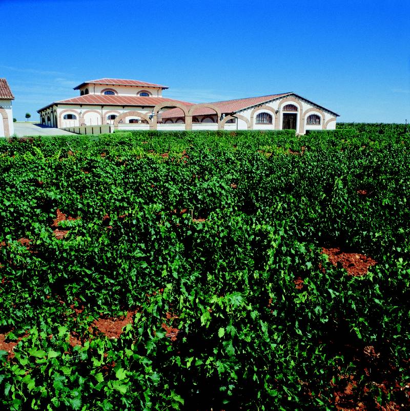 bodegasfarinas1