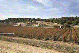 bodegasanzil1