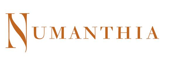 Logo de la bodega Bodega Numanthia - Termes