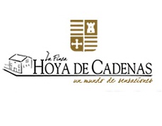 Logo de la bodega Hoya de Cadenas - Bodegas Gandía
