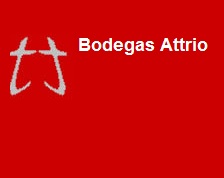 Logo de la bodega Bodega Ortíz Latorre