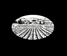 Logo de la bodega Bodega Sisternas