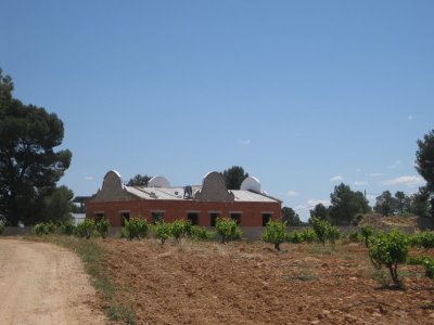 bodegaslamadronera2