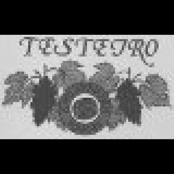 Logo from winery Bodega Testeiro, S.A.T.