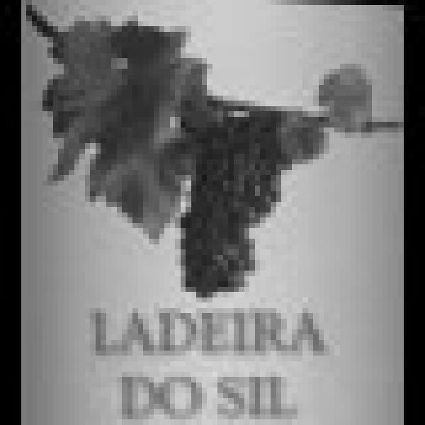 Logo de la bodega Bodega José González González