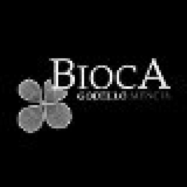 Logo de la bodega Bodega Mª Teresa Nuñez Vega