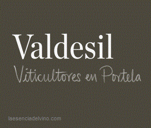 Logo von Weingut Bodegas Valdesil