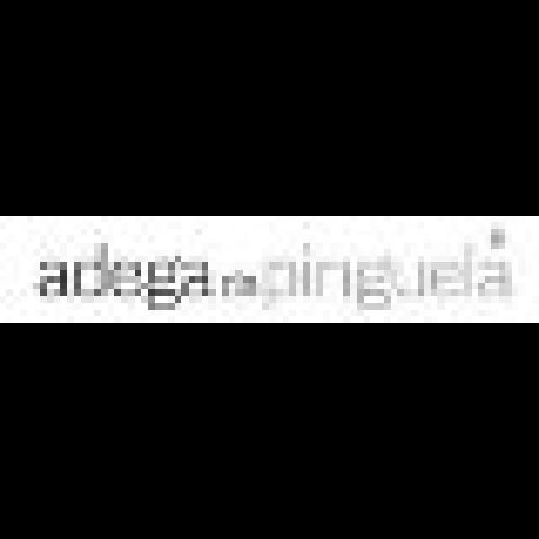 Logo de la bodega Adega da Pinguela, S.L.