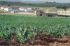 bodegasreal2