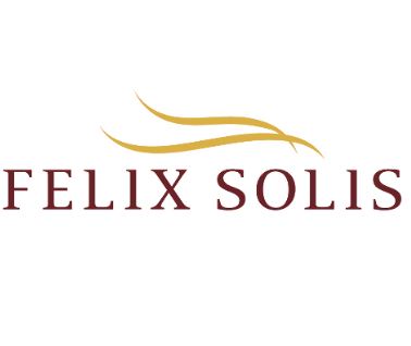 Logo from winery Bodegas Félix Solís