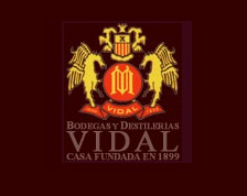 Logo from winery Bodegas y Destilerías Vidal