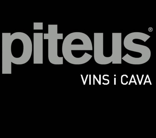 Logo de la bodega Vall del Riu, SAT 1005