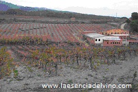 bodegasoldebrugas1