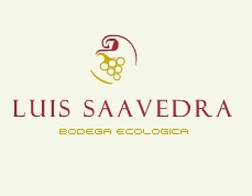 bodegassaavedra