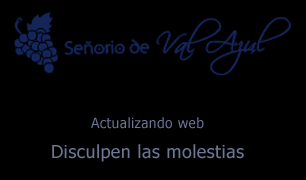 Logo de la bodega Bodegas Señorío de Val Azul