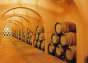 bodegacoopntrasravirtudes2