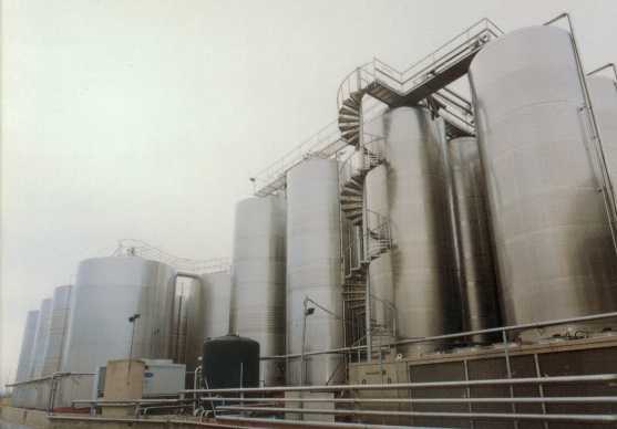 bodegacoopntrasravirtudes3