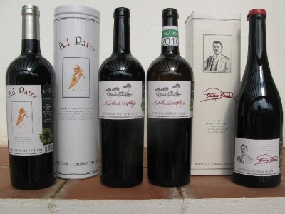 bodegastorresfiloso_botella