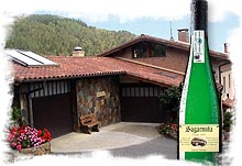 Logo from winery Sagarmiña