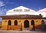 Logo de la bodega Bodega Coop. Campo de San Blas