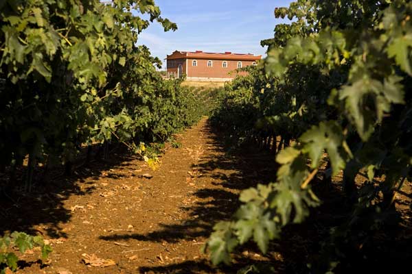 bodegaspagodelasencomiendas2